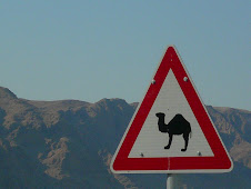 Camel Crossing