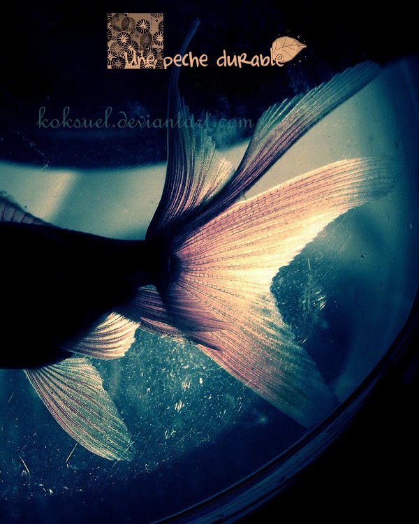 [peche+durable.bmp]