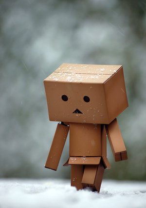 Danbo Snow on Email This Blogthis  Share To Twitter Share To Facebook