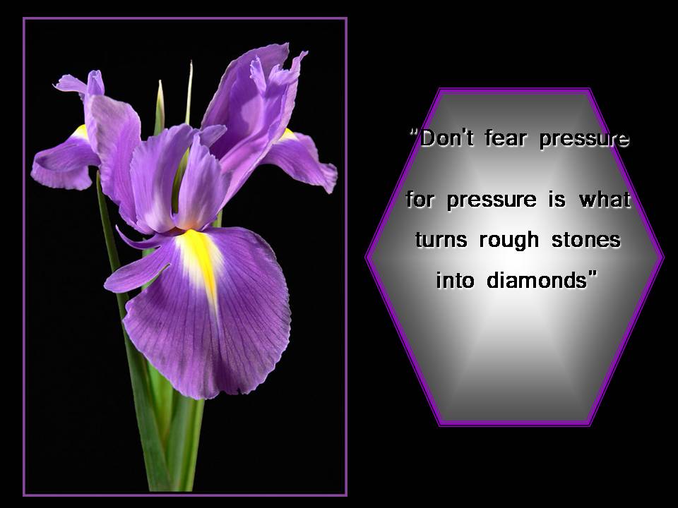 [Slide5-729618.JPG]