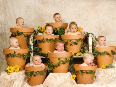Pot Babies
