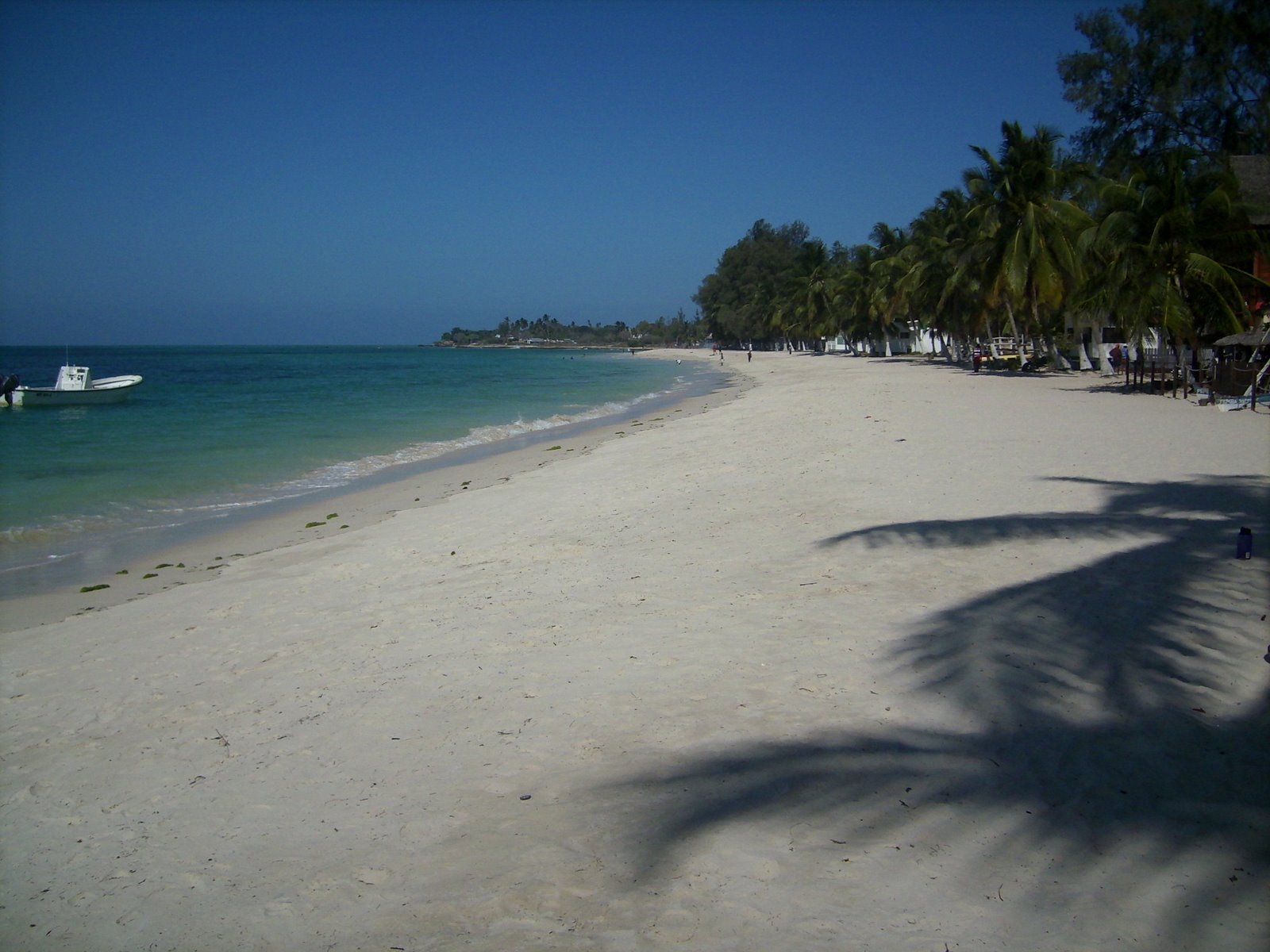 [DSCI0025.JPG]