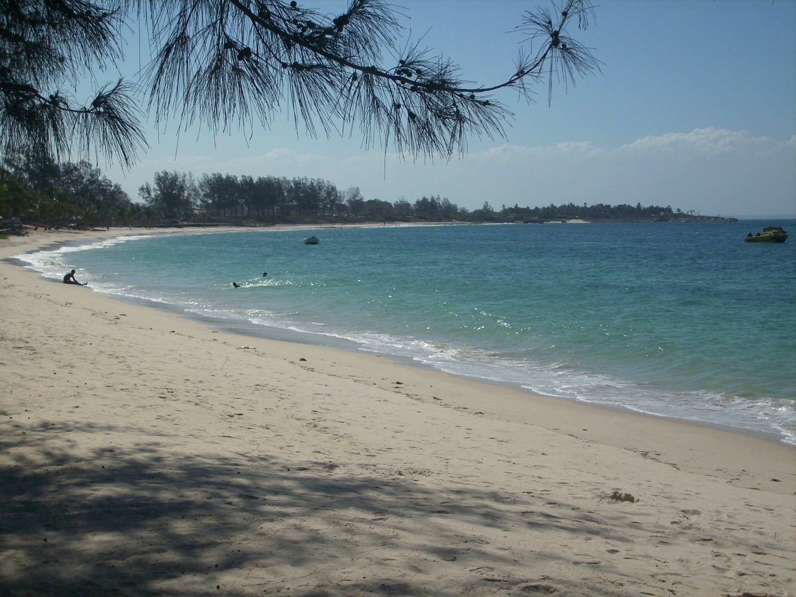 [DSCI0027.JPG]