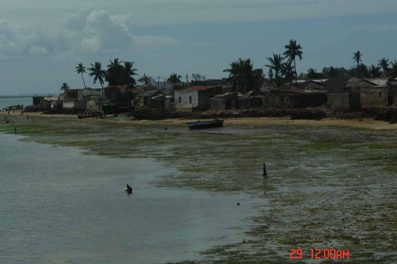[DSC03938.JPG]