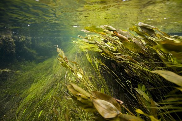 [Emma+Critchley.bmp]