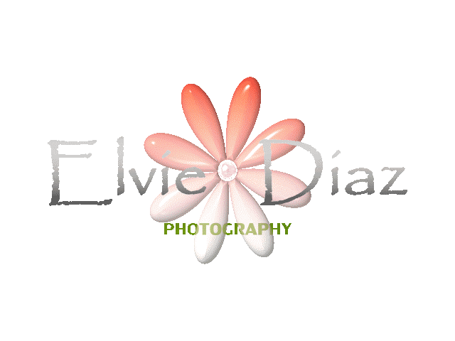 Elvie Diaz Photography
