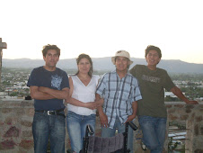 CERRO  CONDELL  //  CURICO VII REGION