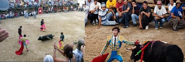 [barrancos.JPG]