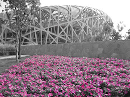 Olympic Grounds- Beijing