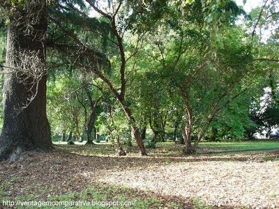 [7_JARDIM_DA_UNIVERSIDADE_DO_PORTO__PORTUGAL.JPG]