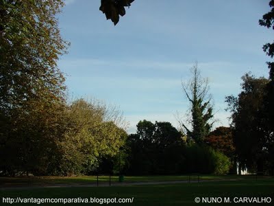 [3_JARDIM_DA_UNIVERSIDADE_DO_PORTO__PORTUGAL.JPG]