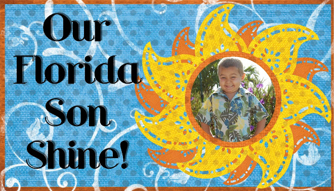 Our Florida Son Shine