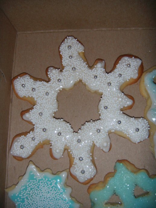 [Snowflake+Cookie2.jpg]