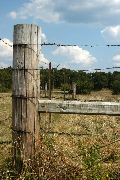 corner+fencepost.jpg