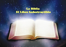 LA BIBLIA ONLINE
