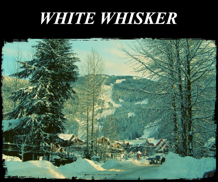 WHITE WHISKER