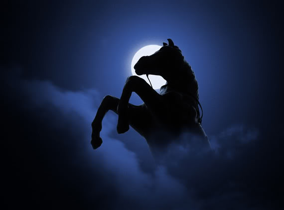 arising-horse.jpg