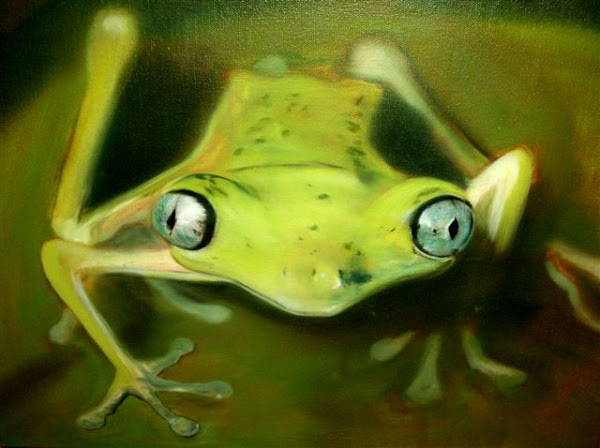 Frog