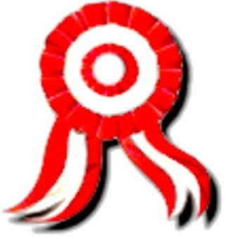 external image escarapela.bmp