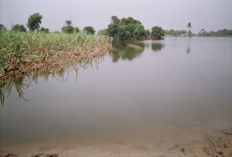 Flood in Basti Tanwari