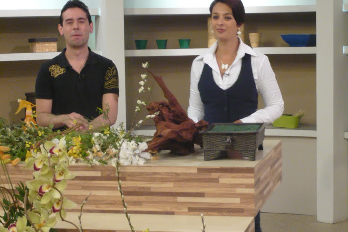 TV GAZETA PROGRAMA MULHERES COM KATIA FONSECA DEMONSTRAÇÃ DE IKEBANA KADO DAI SHIZEN