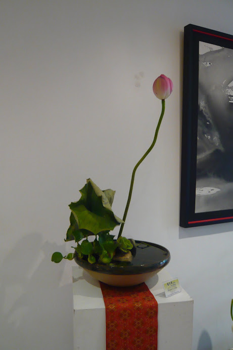 IKEBANA DAI SHIZEN EXPOSIÇÃO UNIDADE MOEMA