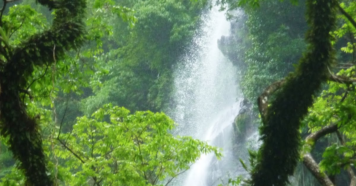 Trinidad and Tobago Maracas Waterfall