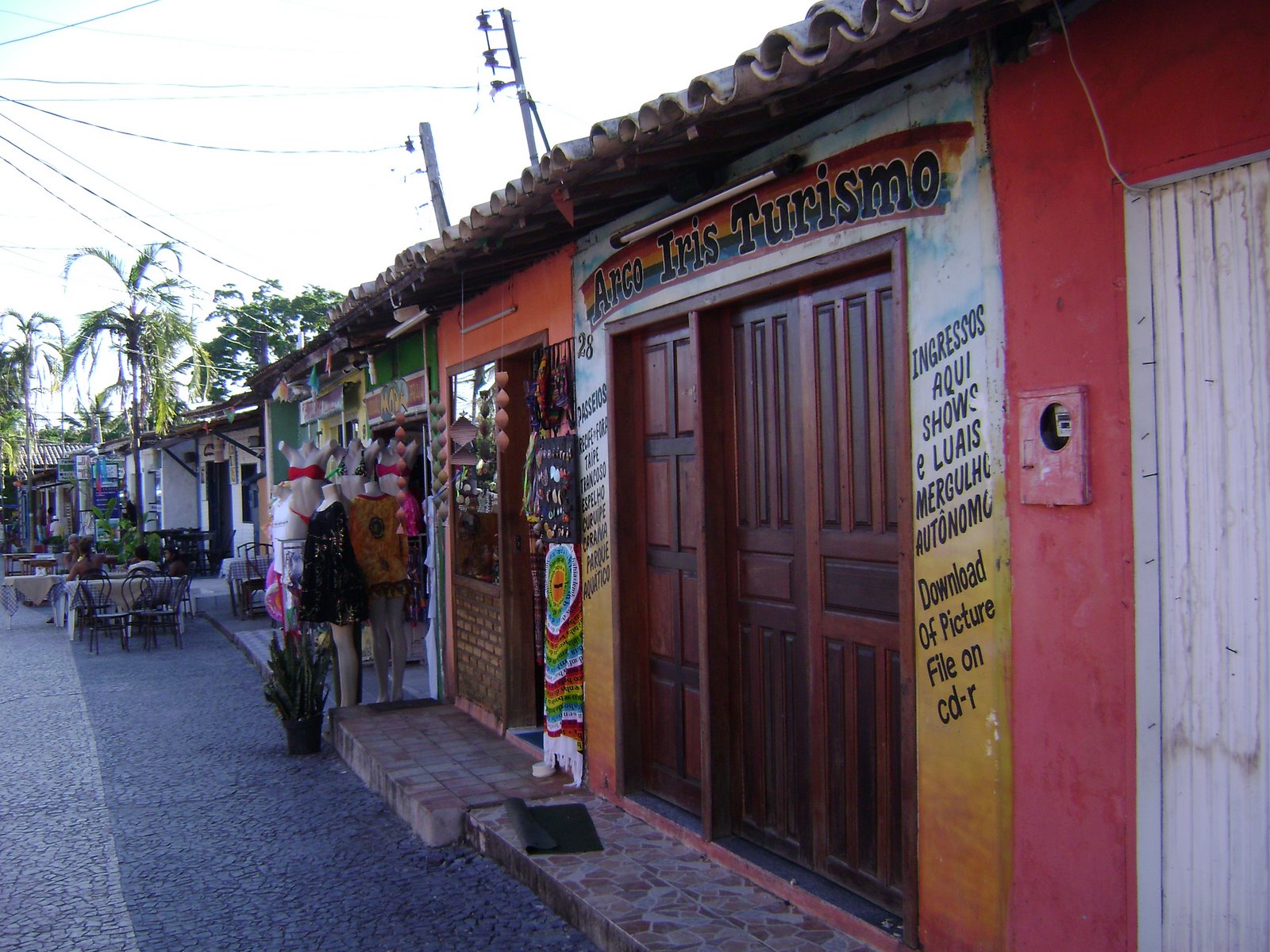 [DSC01921.JPG]