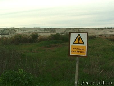 [dunas3.bmp]