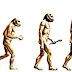 How Evolution Happens - vista con Infografía 