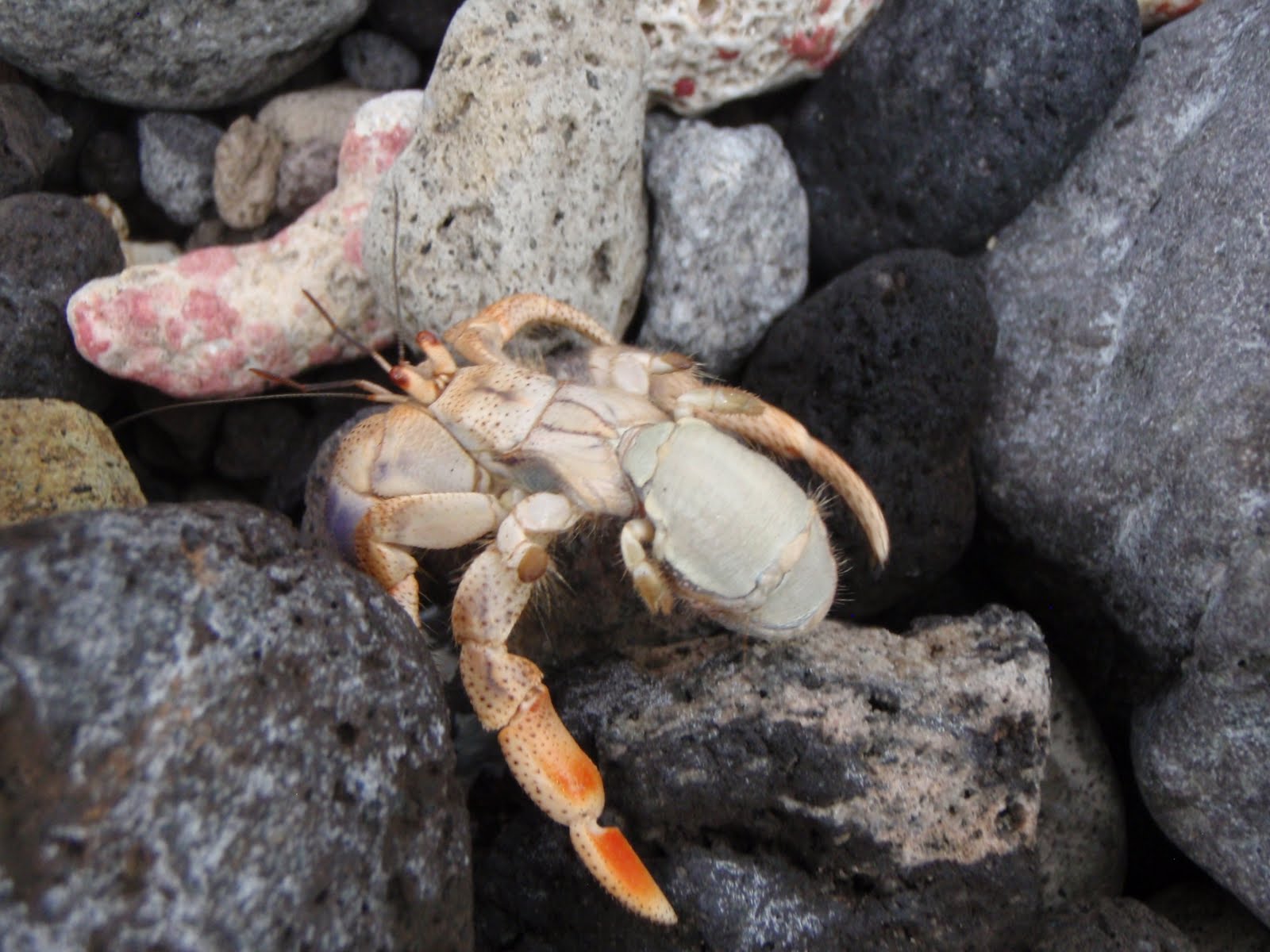 Three Years On Statia