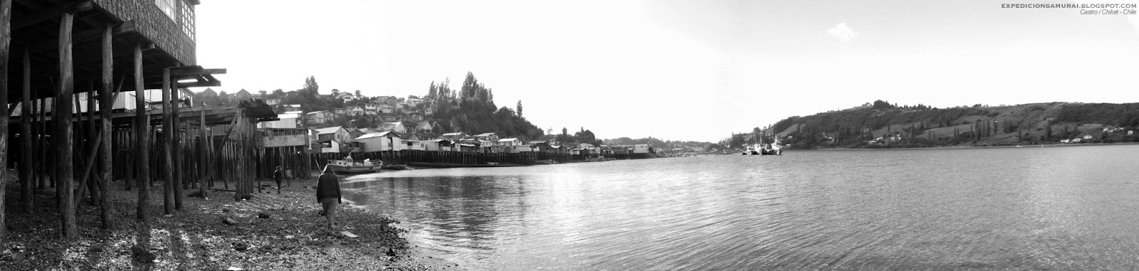 DSCF3153.jpg