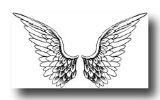 [angel+wings.jpg]
