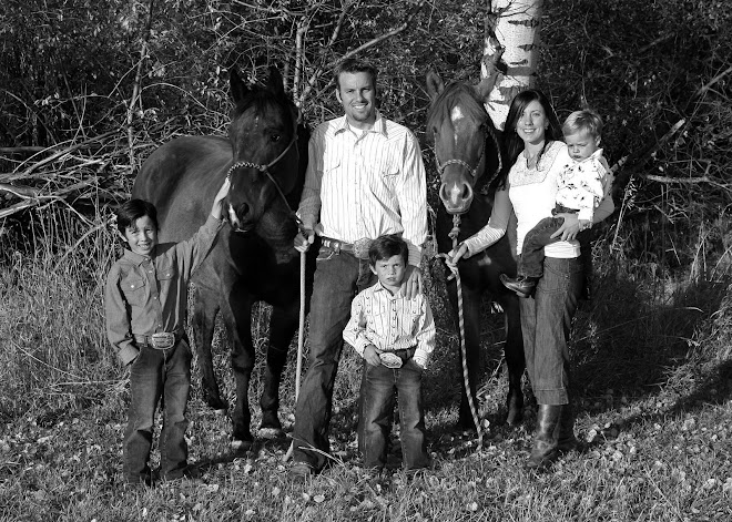 a day in the life of a cowboy's wife                                  and all other tales