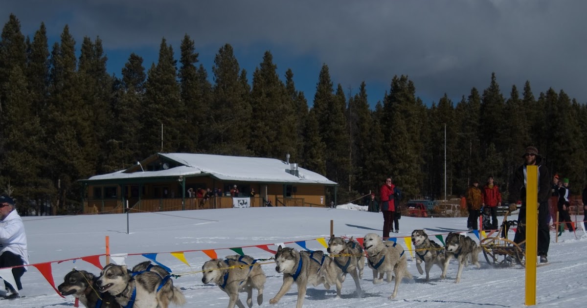 The Adventures of Kevin & Buddy Leadville Dog Sled Race March 09
