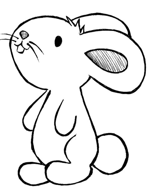 desenhos de animais colorir coelho coelho roedor desenhos para