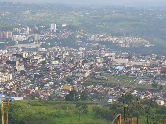 Pereira