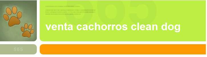 Venta Cachorros Clean Dog