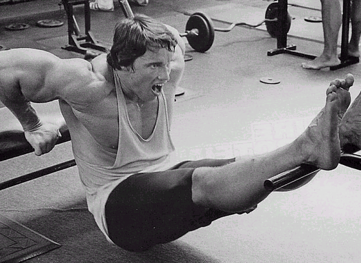 shoulders+arnold-dips.gif