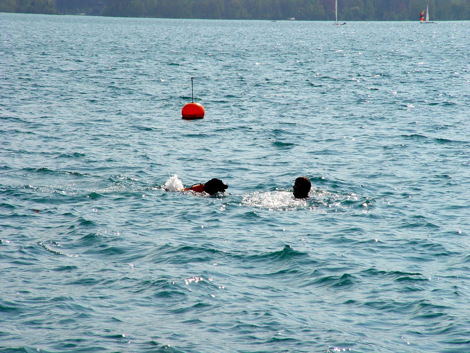 [DSC00081.JPG]