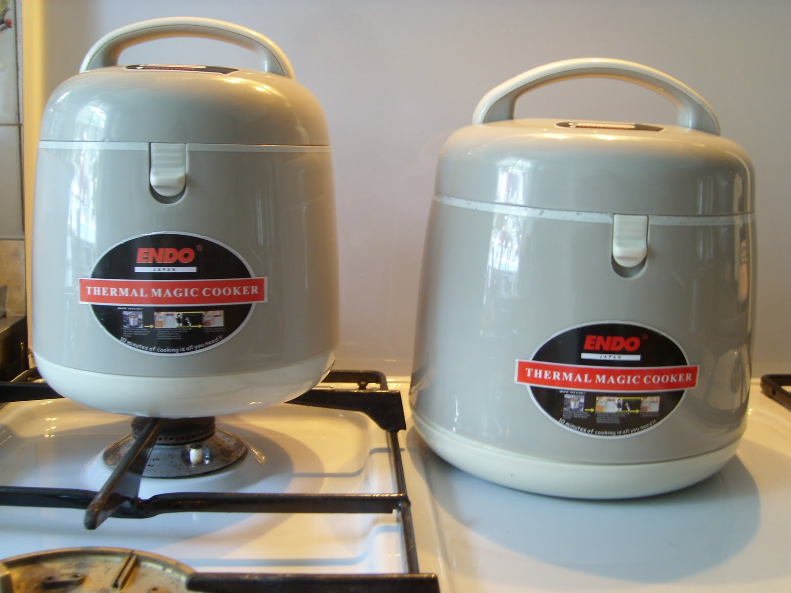 Emily's Busy World! Endo Thermal Magic Cookers, Organic Farming and