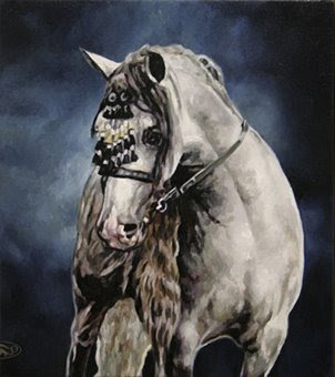 Gray Lusitano Stallion