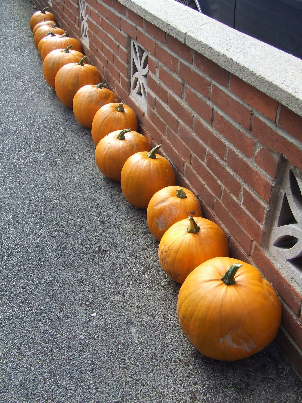 [DSCF1880.JPG]
