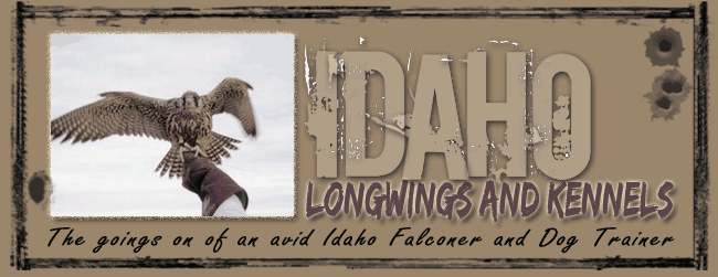 Idaho Longwings and Kennels