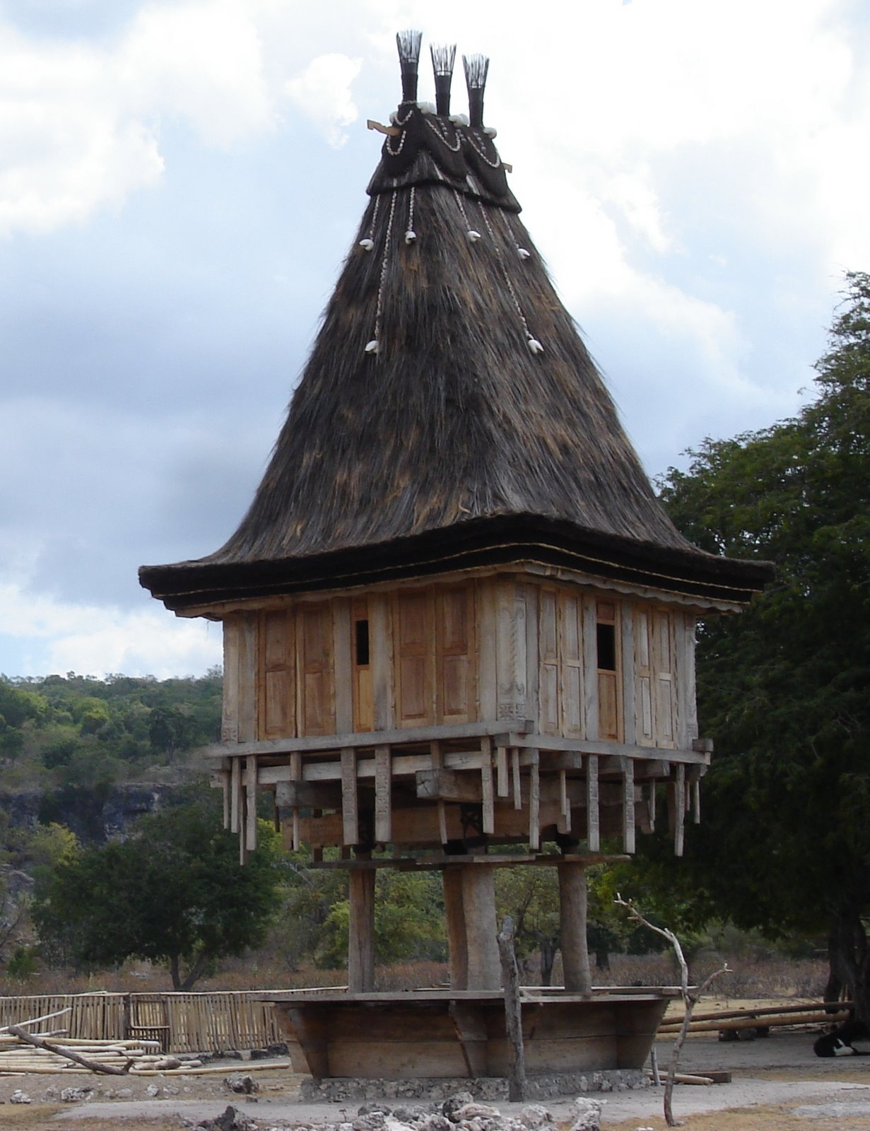 [Timor-LosPalos+(1A).JPG]