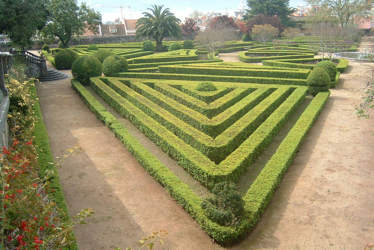 [JdBotân-buxo1.JPG]