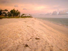 Blind Pass Beach