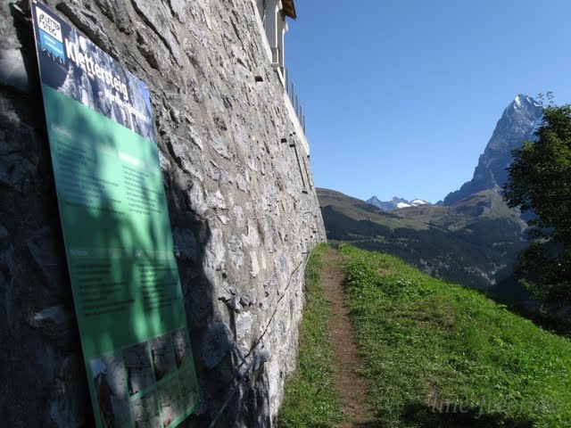 [IMG_1033.JPG]