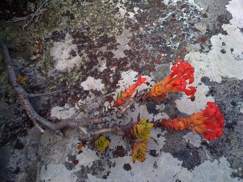 [IMG_0134.jpg]