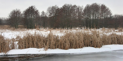Walking By Wingra Creek In Snow >> Save Our Stream Exploring Lake Wingra In Winter Walking By Wingra Creek In Snow >> Save Our Stream Exploring Lake Wingra In Winter